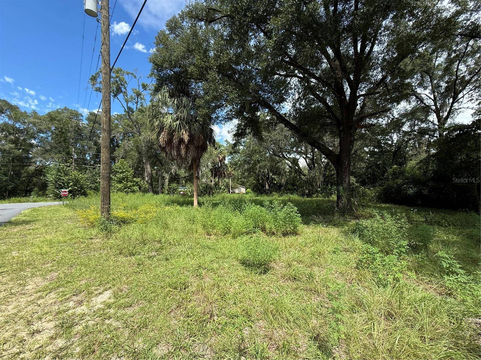 9840 KENTUCKY AVE, Fanning Springs, FL 32693