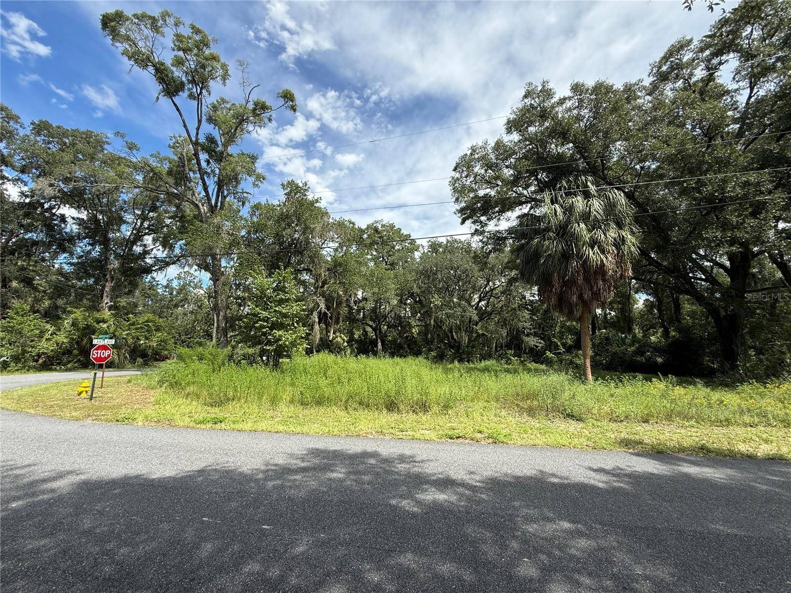 9840 KENTUCKY AVE, Fanning Springs, FL 32693