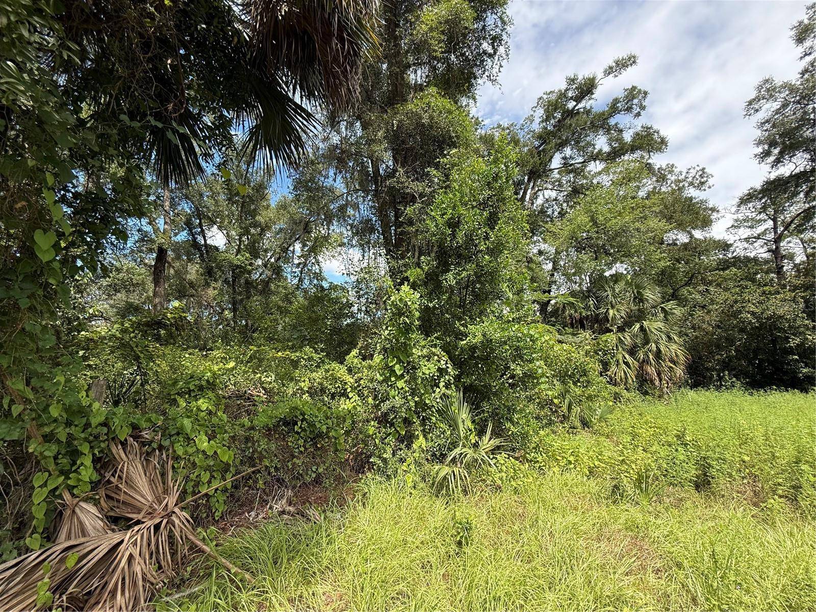 9850 KENTUCKY AVE, Fanning Springs, FL 32693
