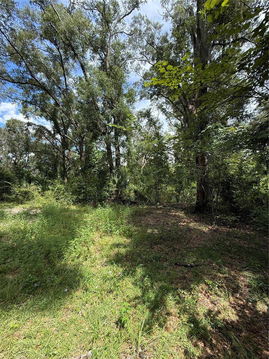 9850 KENTUCKY AVE, Fanning Springs, FL 32693