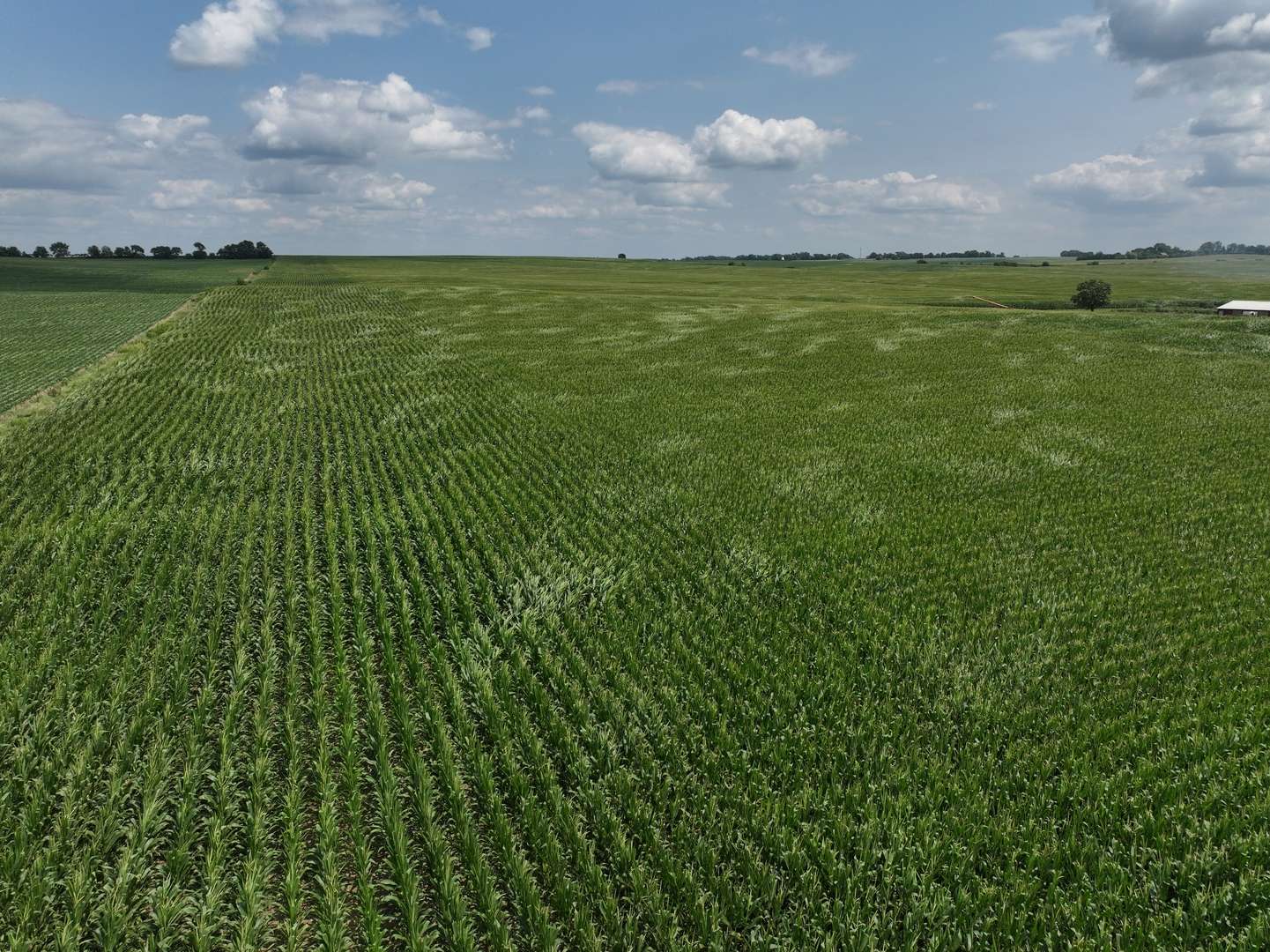 Lt0 Glidden RD, Kingston, IL 60145