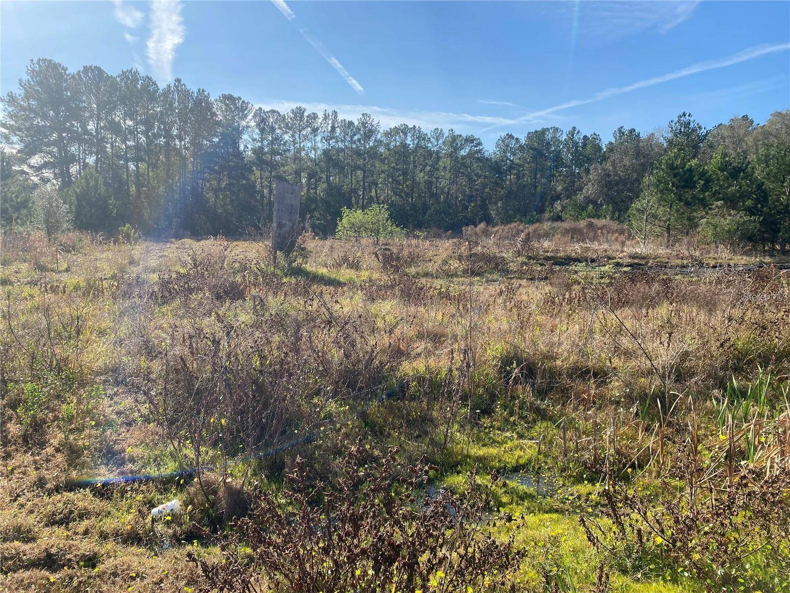 956 US HIGHWAY 17, Satsuma, FL 32189