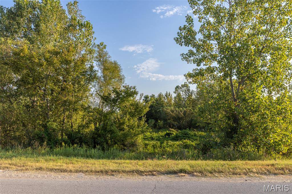 0 Off Old Hwy 60, Dudley, MO 63936