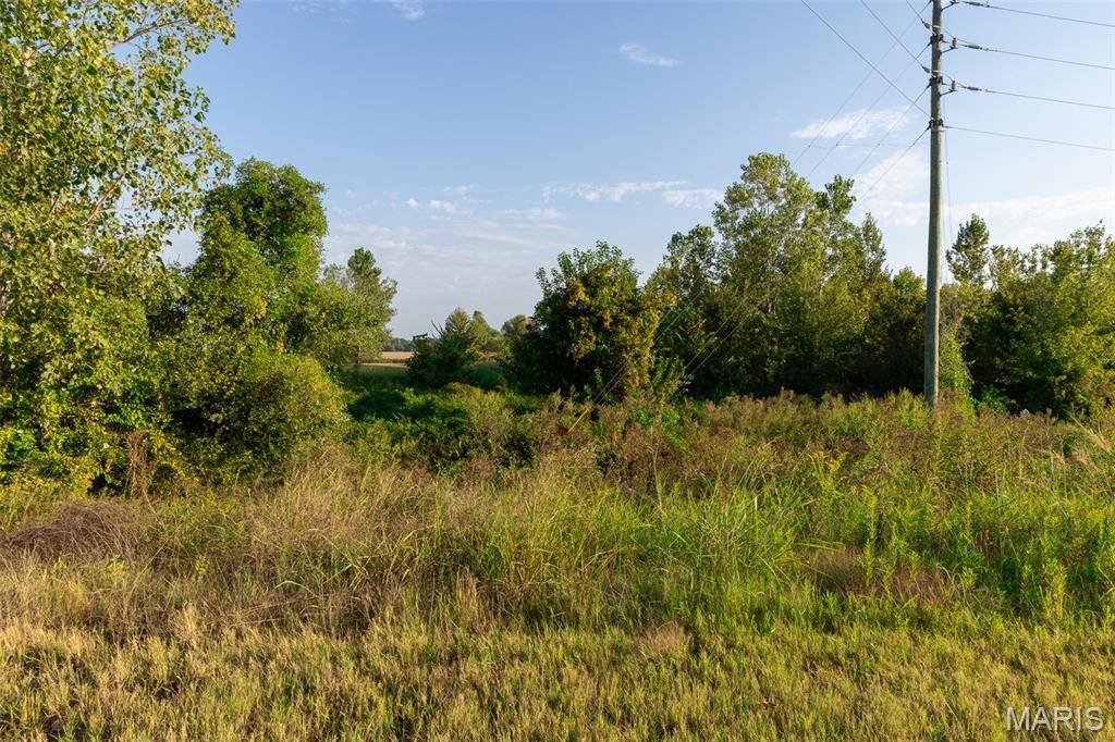 0 Off Old Hwy 60, Dudley, MO 63936