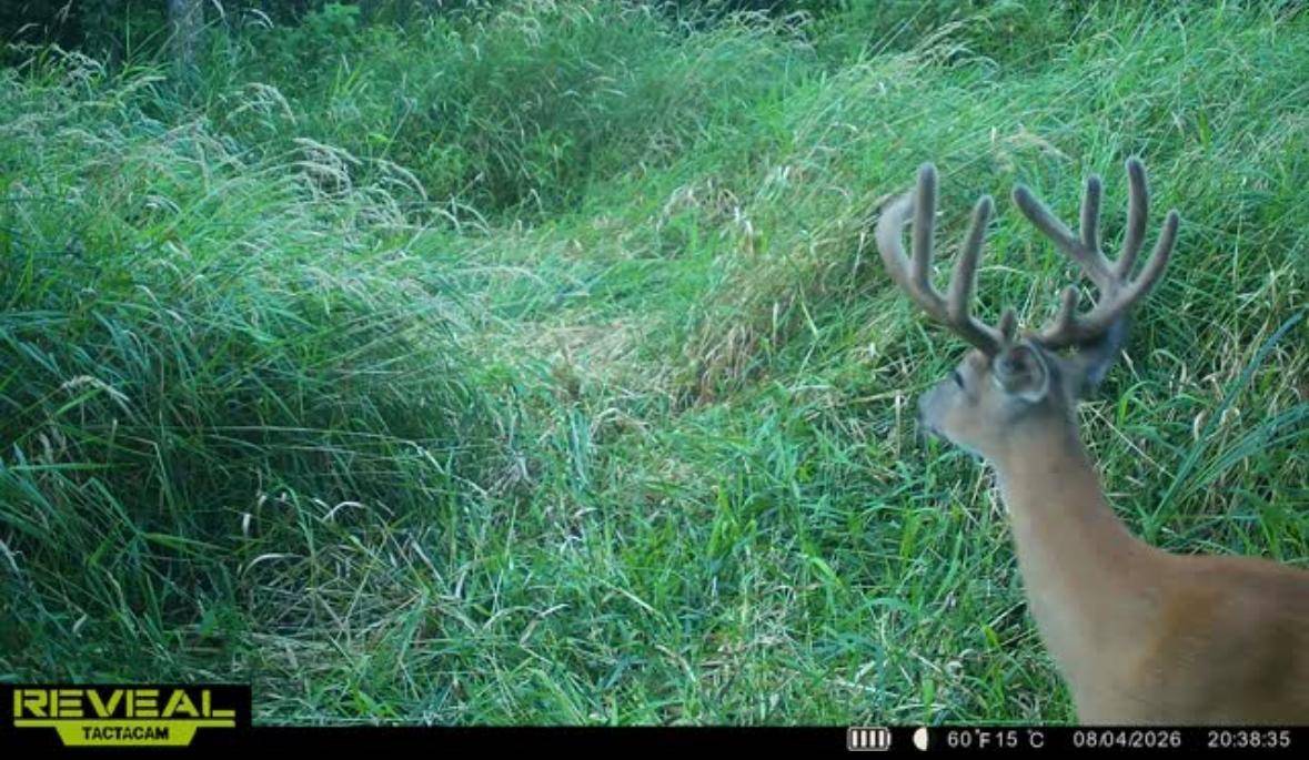 TBD 30th Ave, Isle, MN 56342
