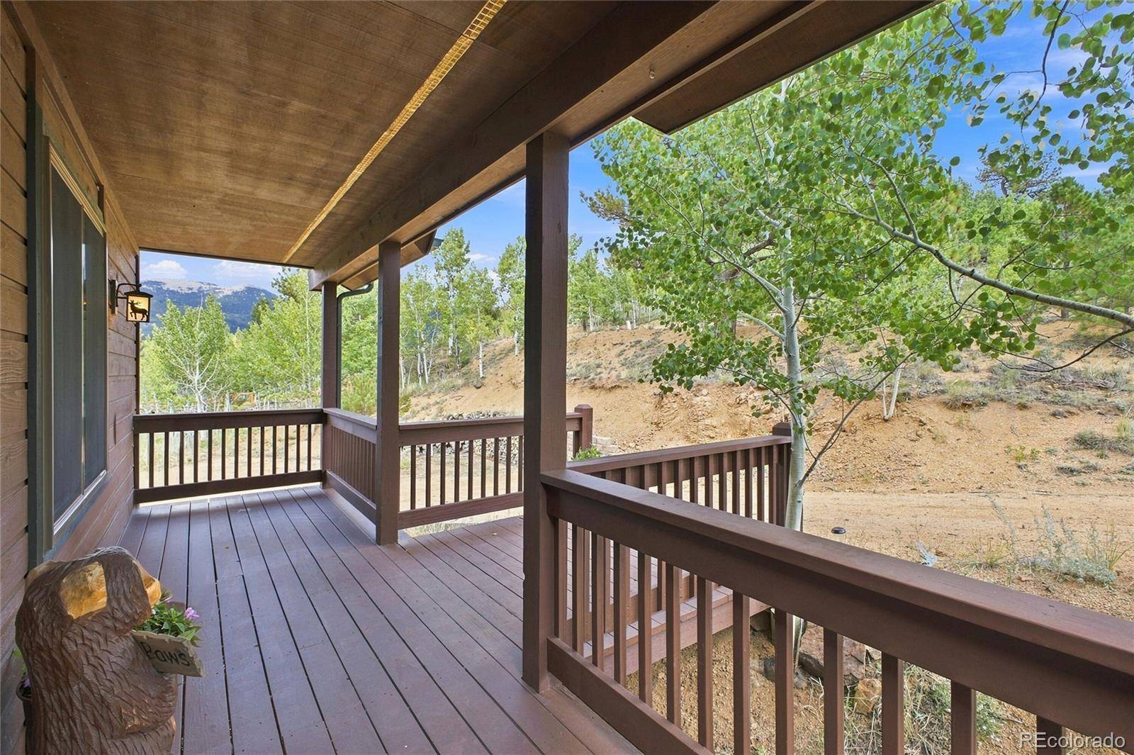 203 Gold Flake TER, Bailey, CO 80421