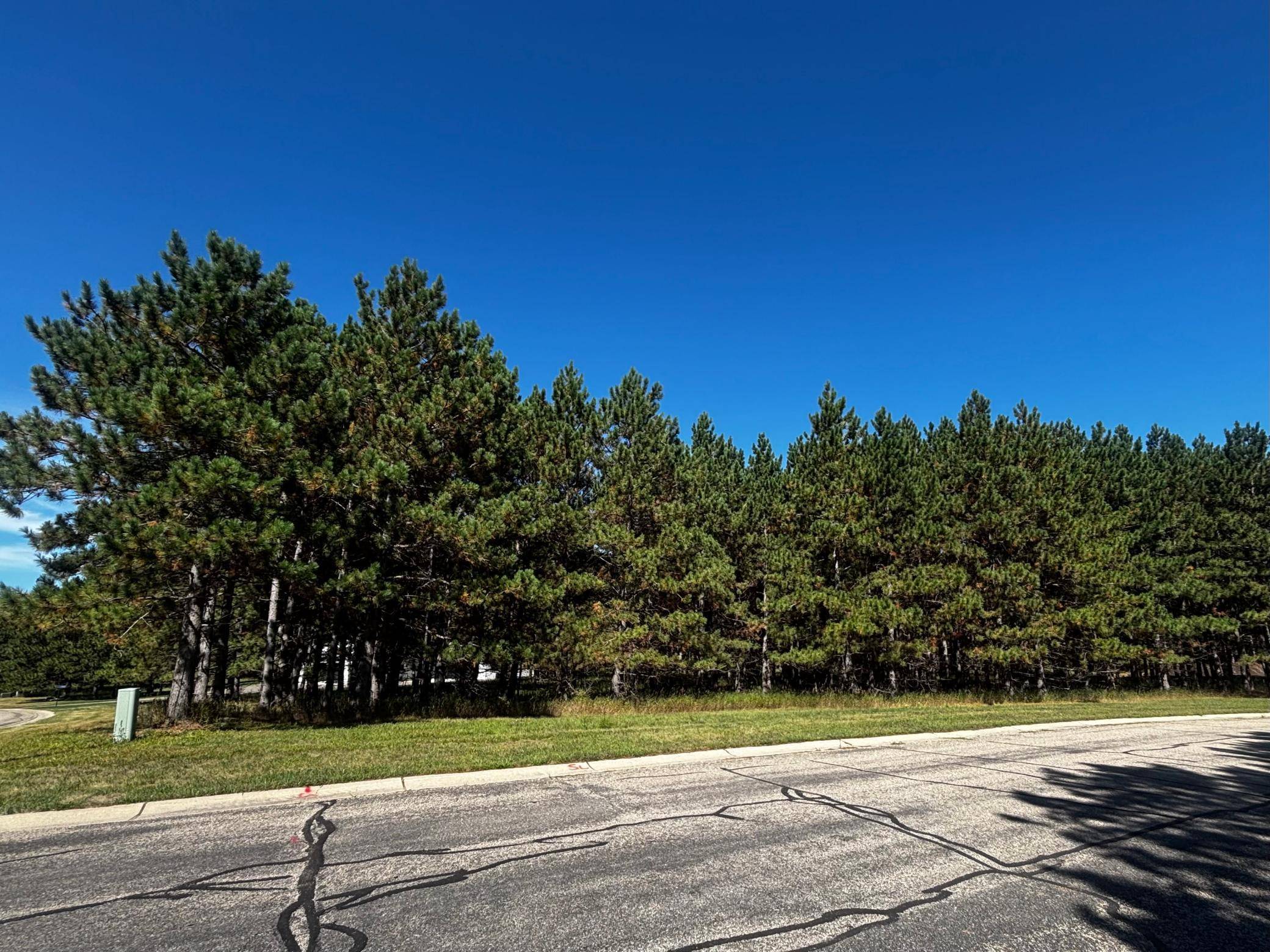 TBD Emerald DR, Alexandria, MN 56308