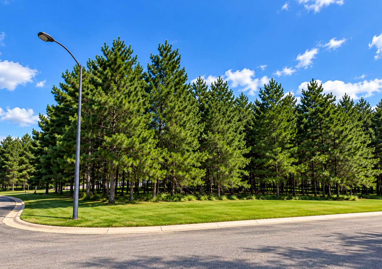 TBD Emerald DR, Alexandria, MN 56308