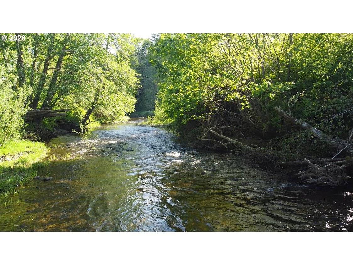 41214 Matt Kampy RD, Seaside, OR 97138