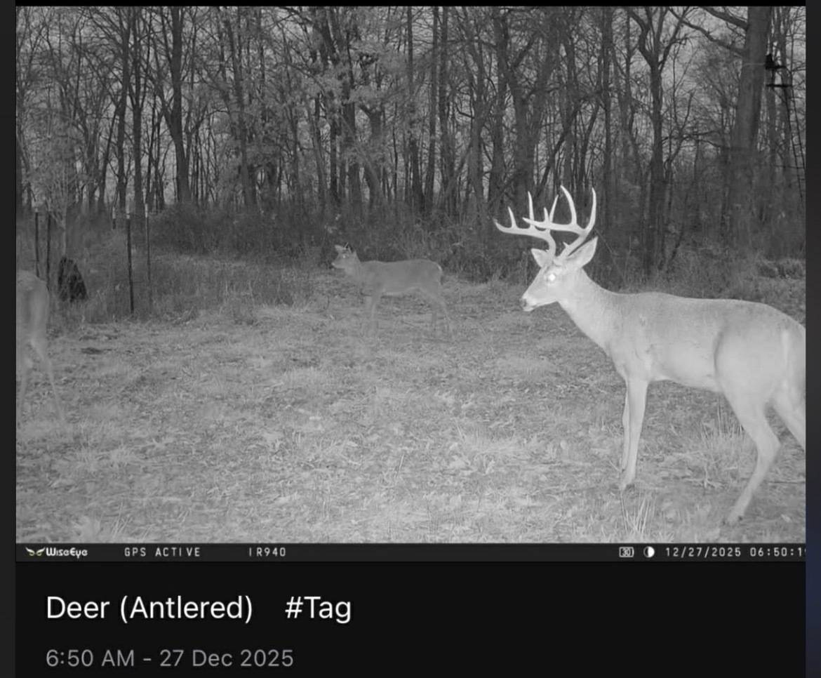 0 County Rd 230 N RD, Ridge Farm, IL 61870
