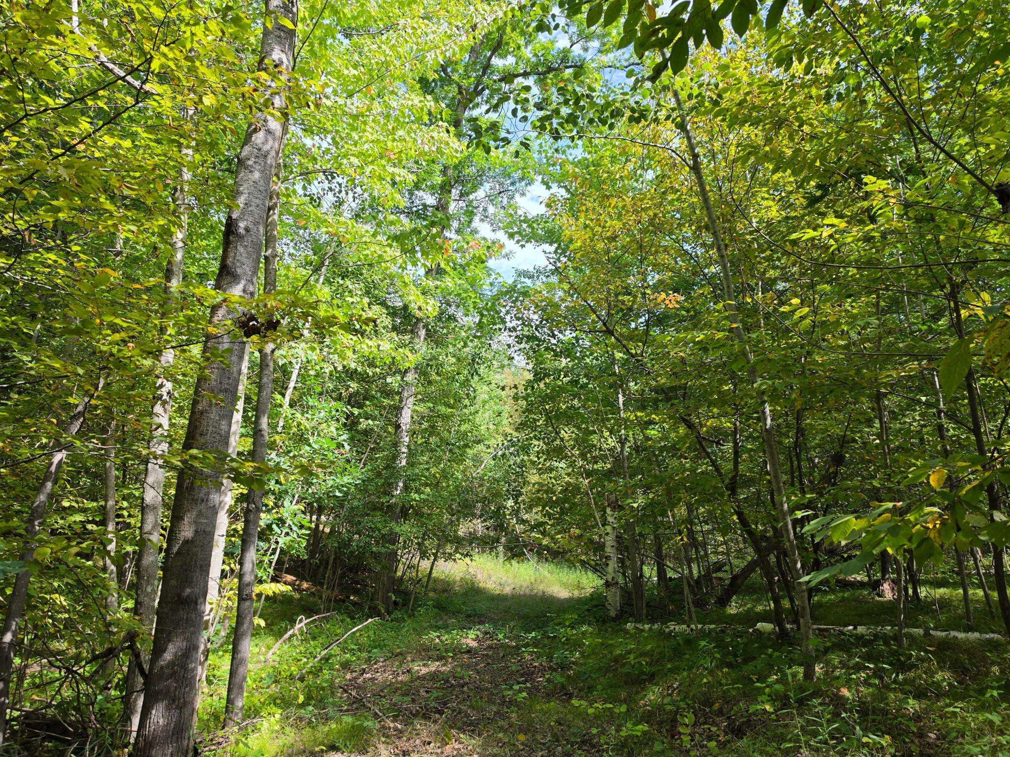 7183 Fremsted RD, Danbury, WI 54830