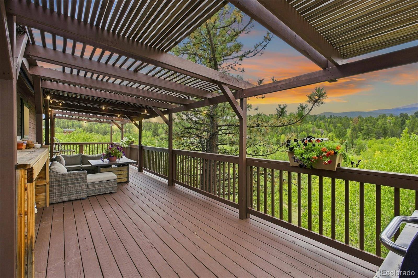 203 Gold Flake TER, Bailey, CO 80421