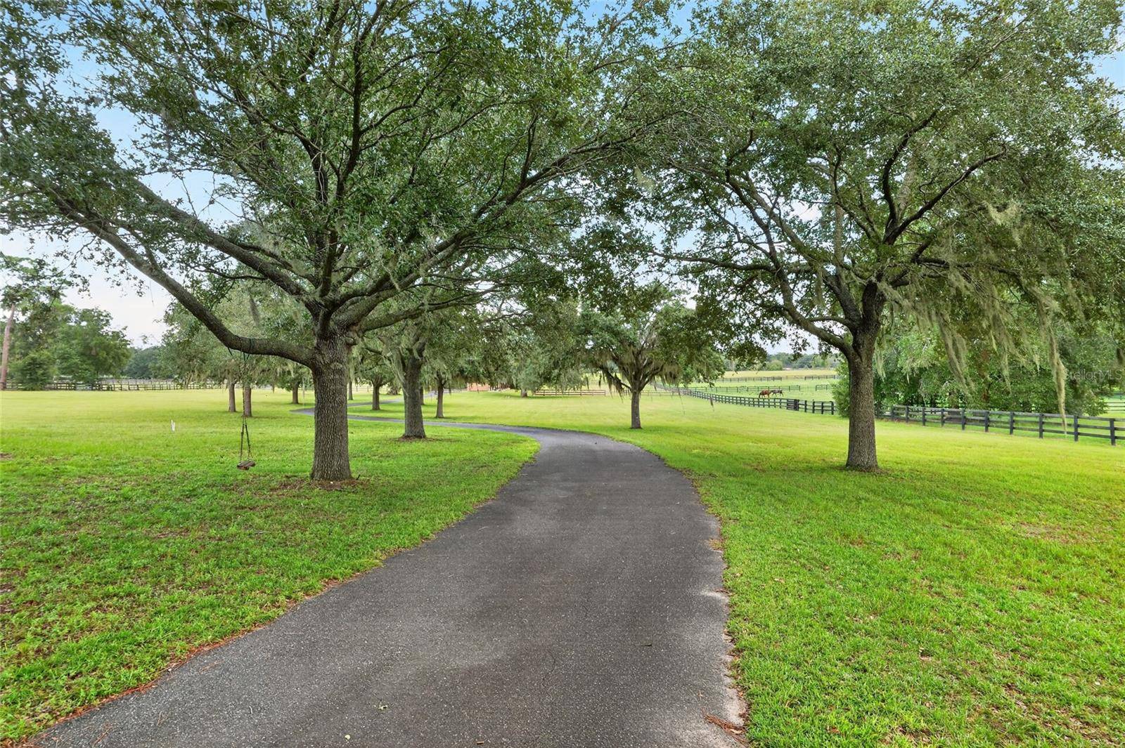 997 NW 63RD CT, Ocala, FL 34482