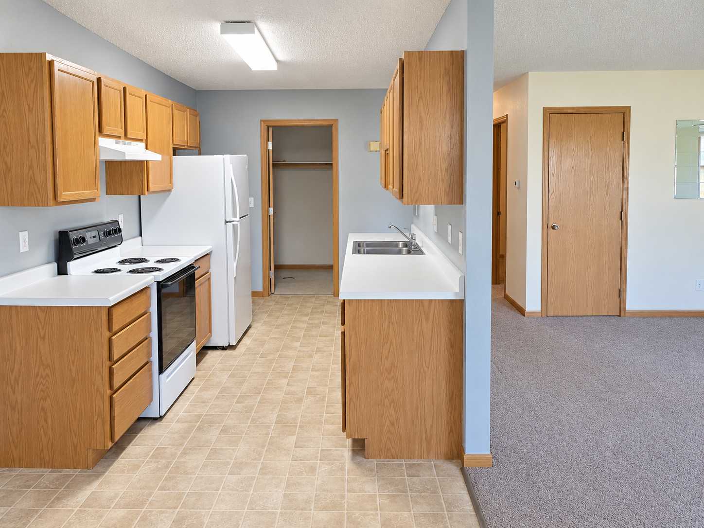 1305 Bayberry AVE ##16, Olivia, MN 56277