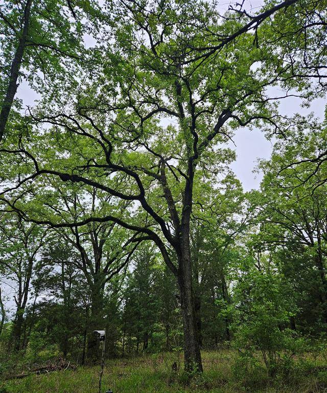01 Private 5401 Road, Malakoff, TX 75148