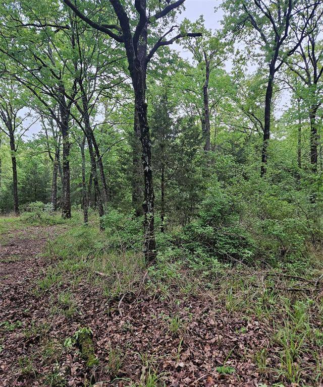 01 Private 5401 Road, Malakoff, TX 75148