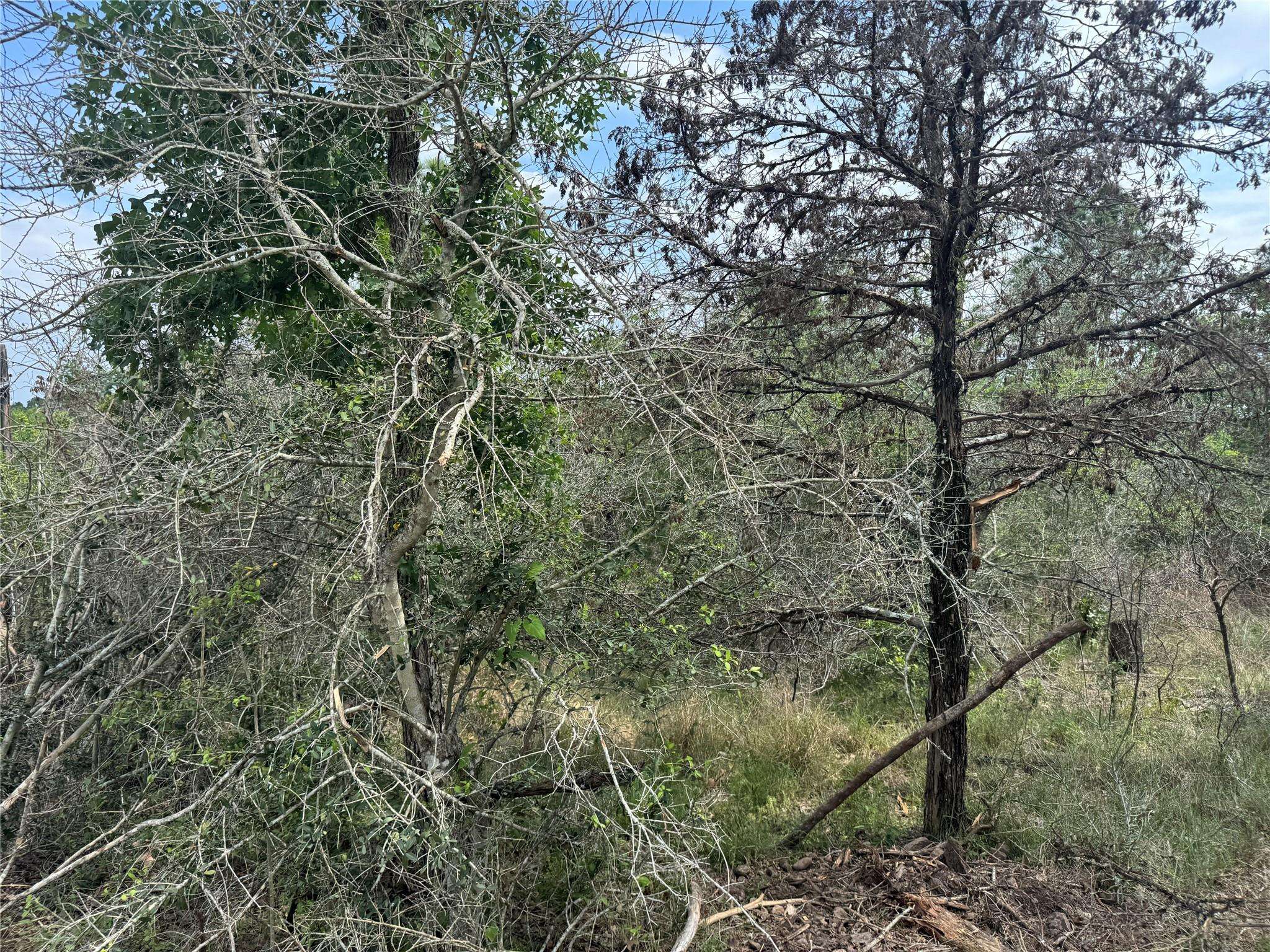 Lot 1263 Hanauma DR, Alum Creek, TX 78602