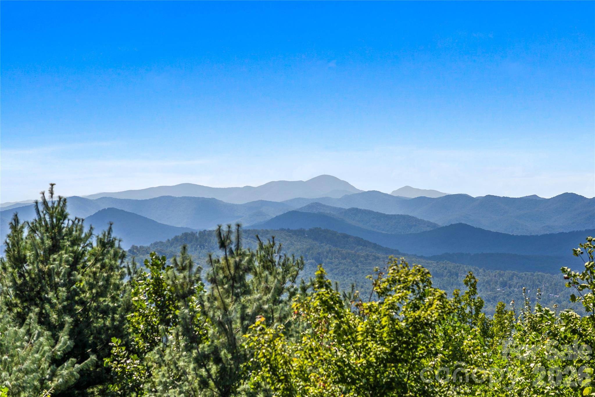 99 Distant View DR #99, Asheville, NC 28803