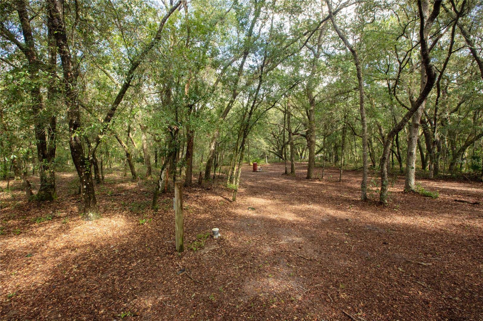 5590 JENKINS LOOP DR, Keystone Heights, FL 32656