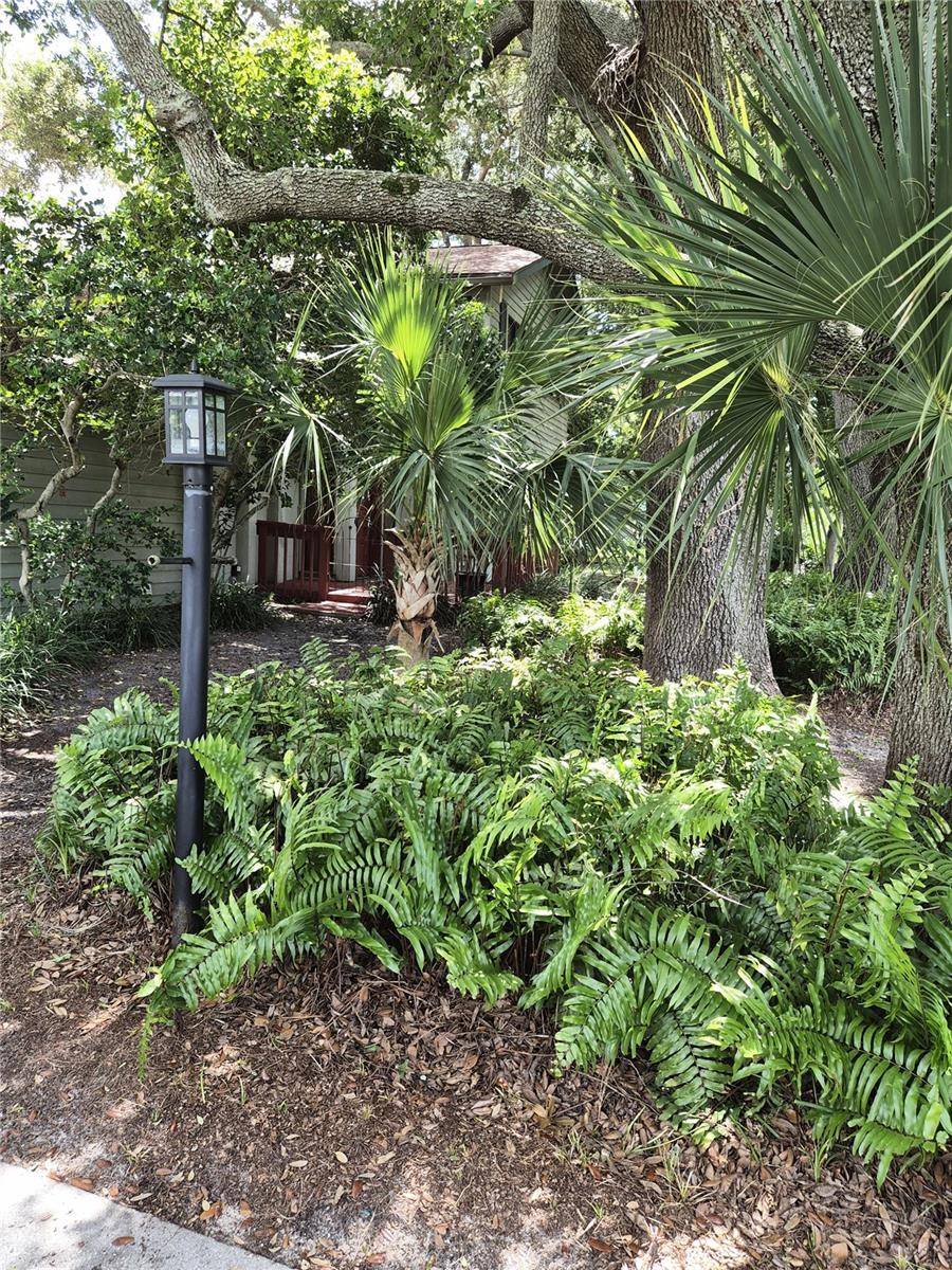 9913 W BAY ST, Seminole, FL 33776