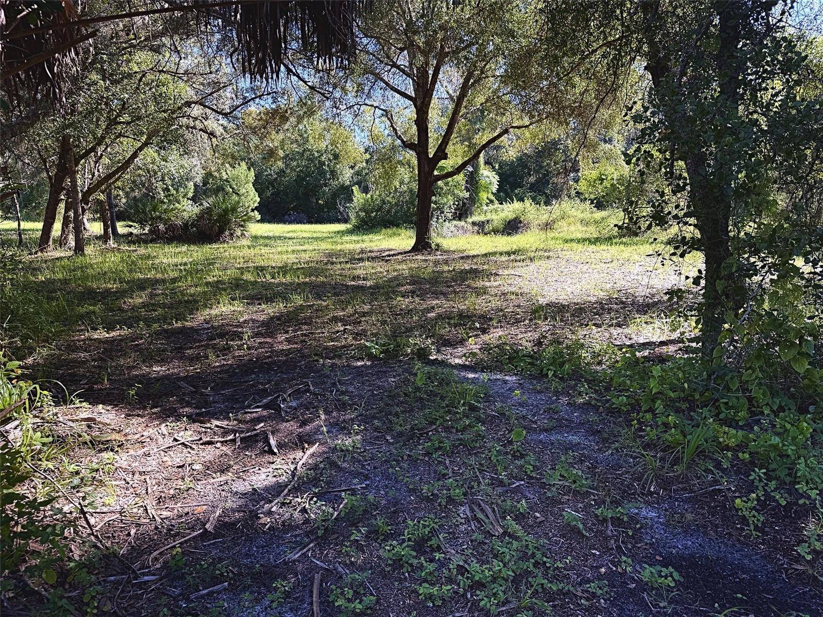 9630 ELLIS ST, New Port Richey, FL 34654