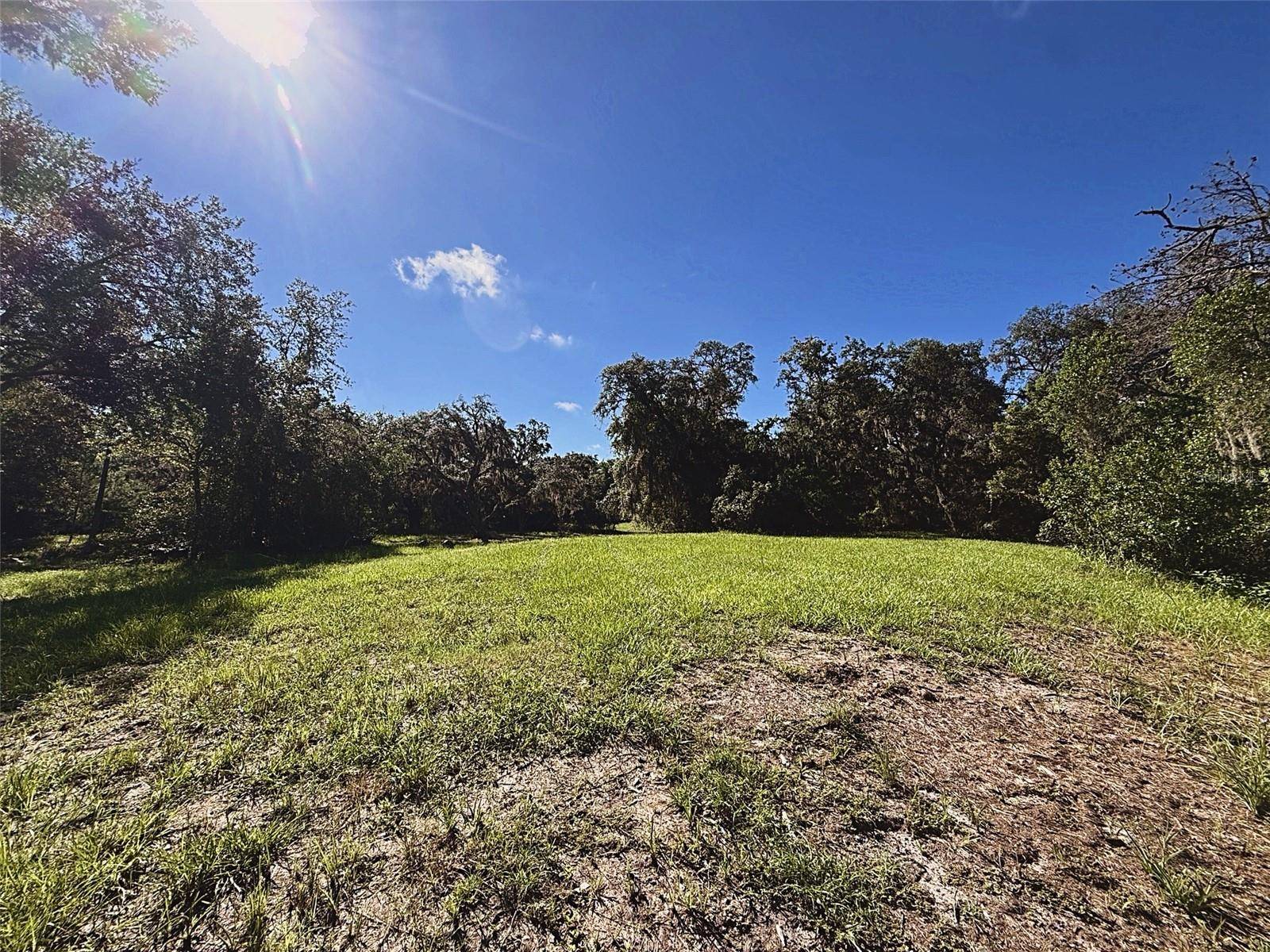 9630 ELLIS ST, New Port Richey, FL 34654