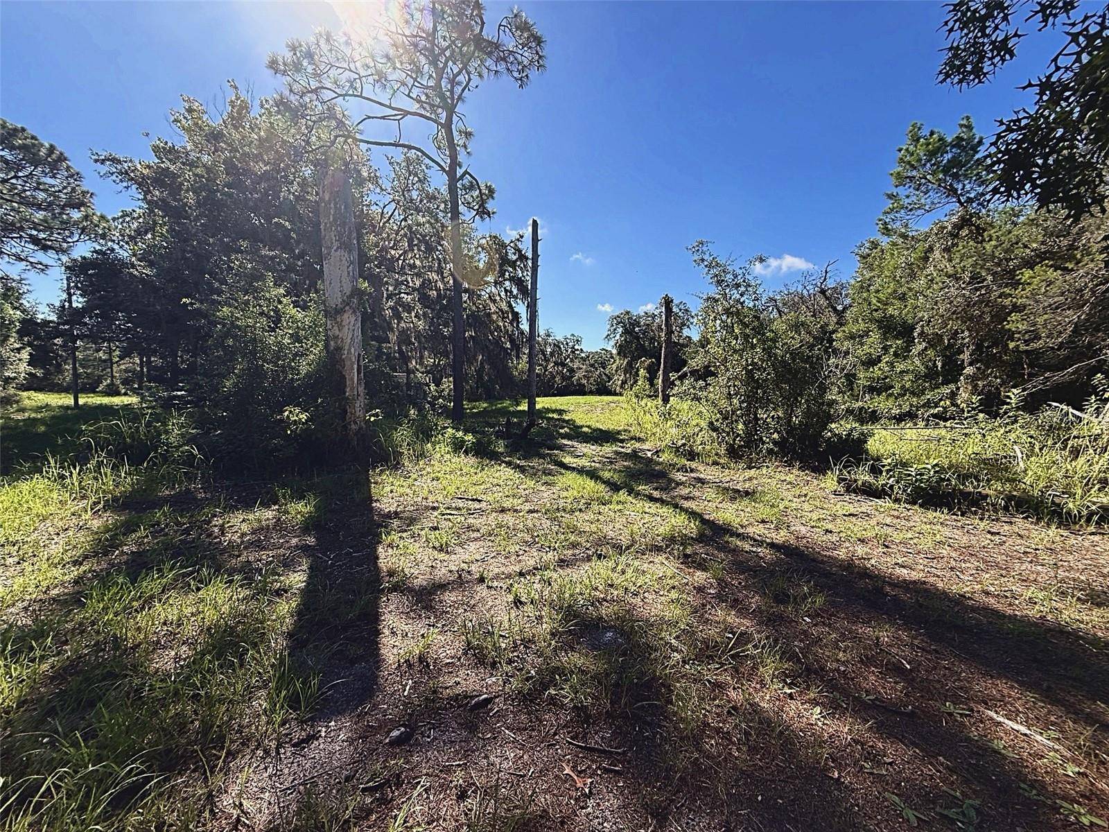 9630 ELLIS ST, New Port Richey, FL 34654