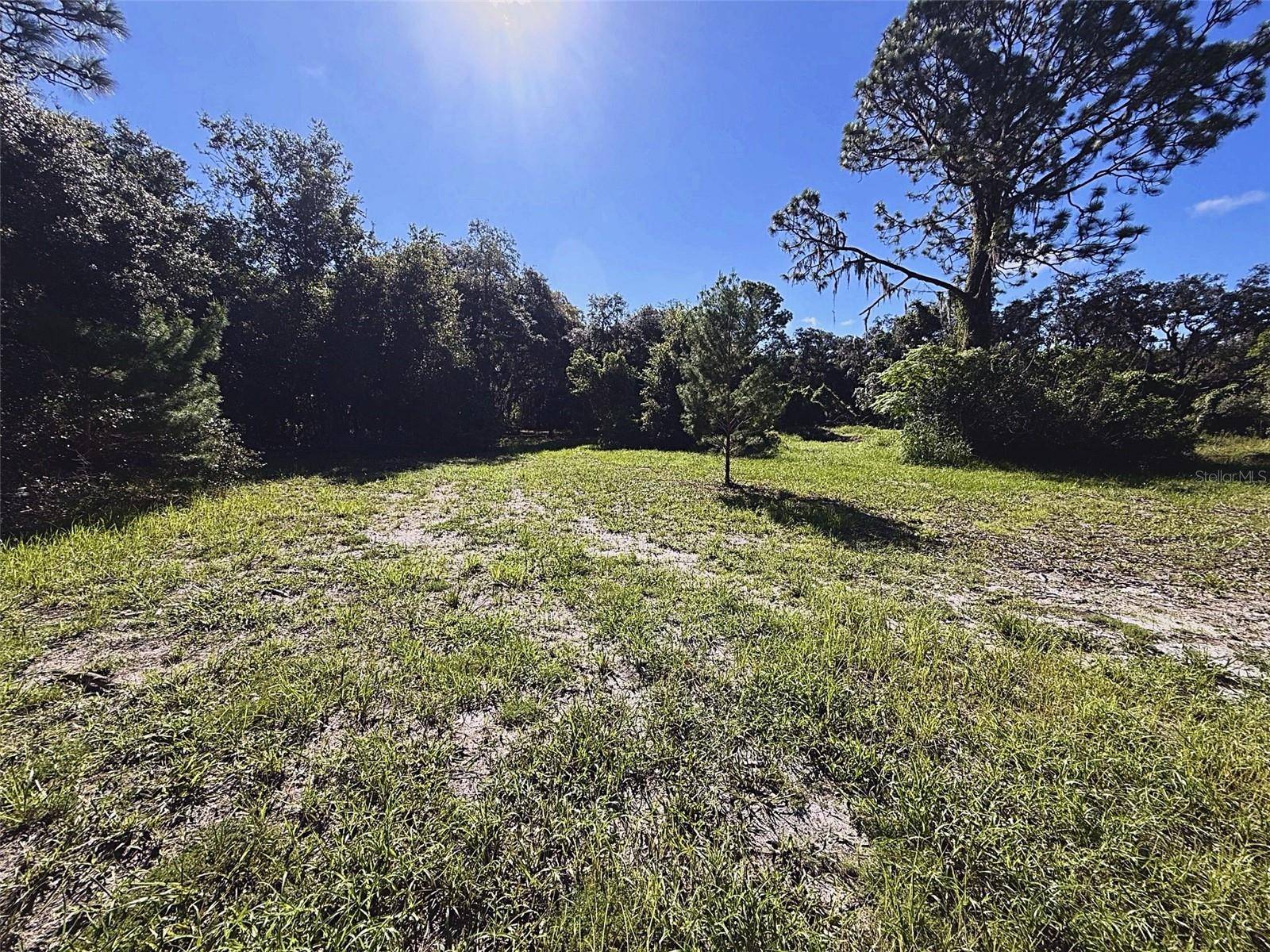 9630 ELLIS ST, New Port Richey, FL 34654
