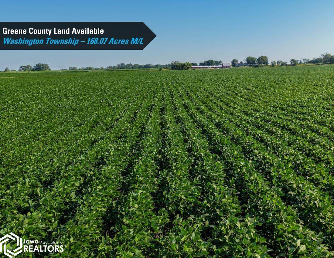 Terrace AVE, Rippey, IA 50235