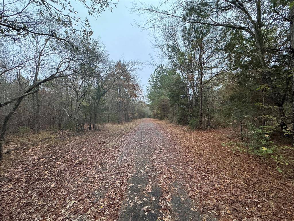 6229 County Rd 21, Tyler, TX 75707