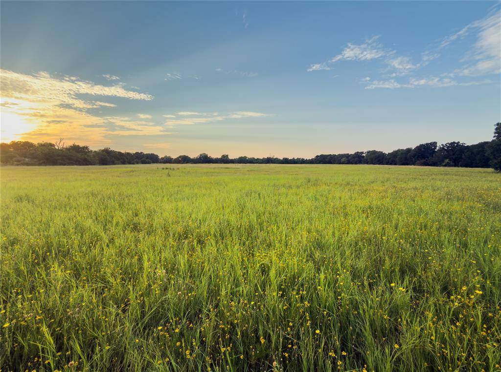 Lot 9 Wilson Road, Waco, TX 76705