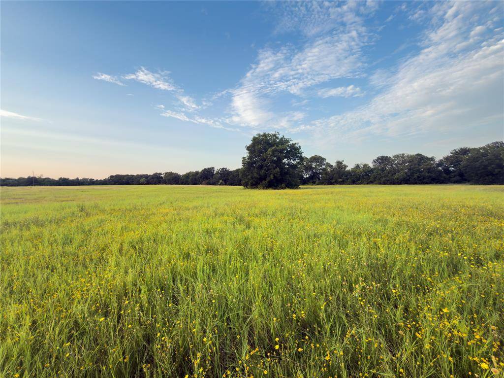 Lot 9 Wilson Road, Waco, TX 76705