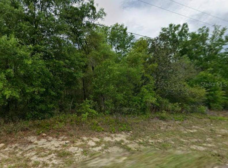 9223 N JUSTA DR, Citrus Springs, FL 34433