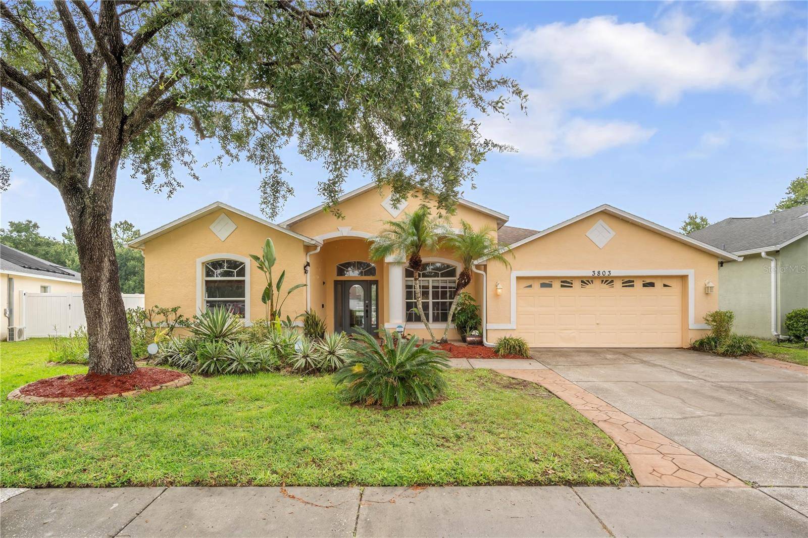 3803 GRAND FORKS DR, Land O Lakes, FL 34639