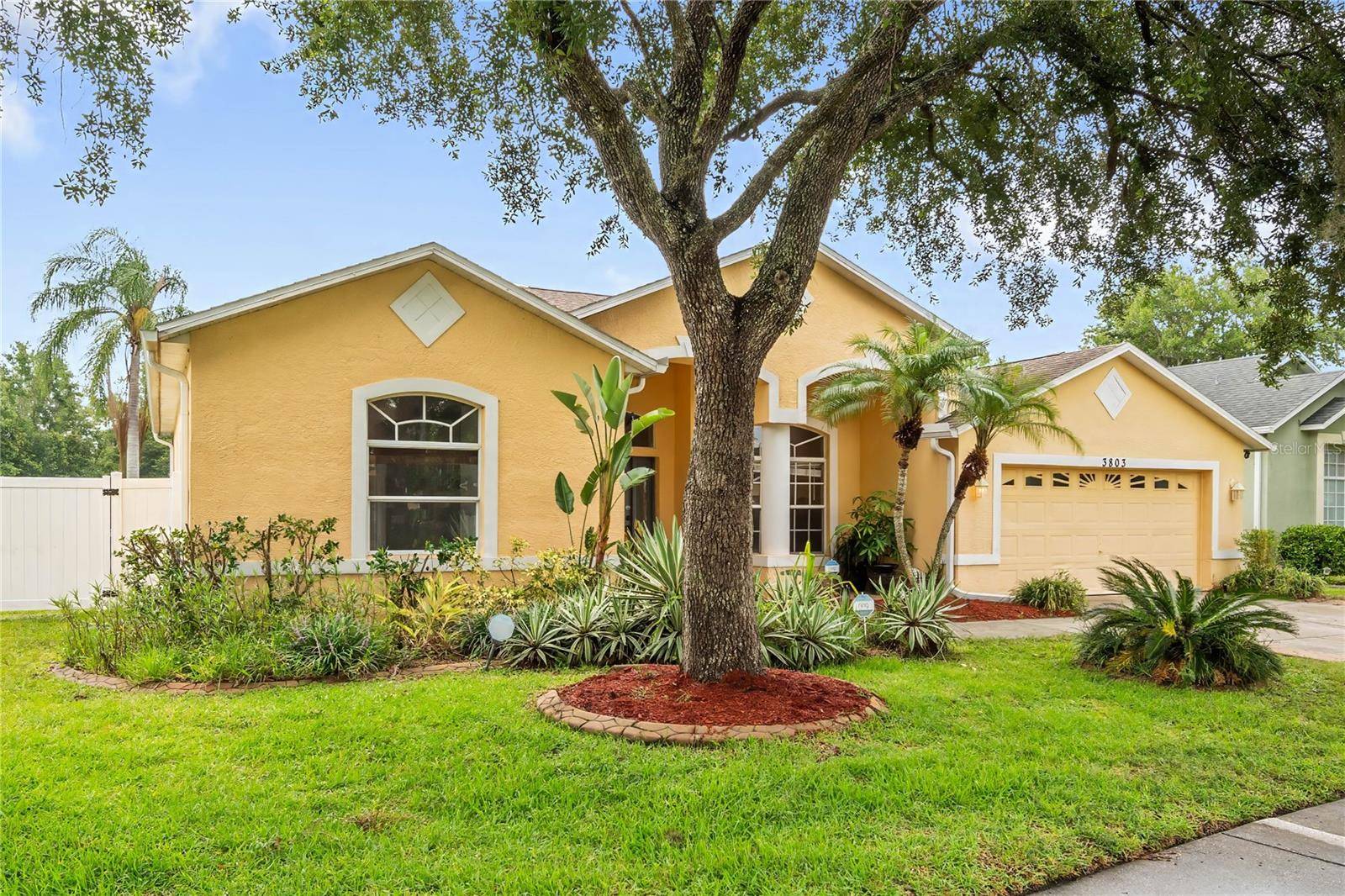 3803 GRAND FORKS DR, Land O Lakes, FL 34639