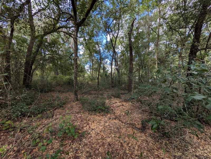 126 CHERRY DR, Pomona Park, FL 32181