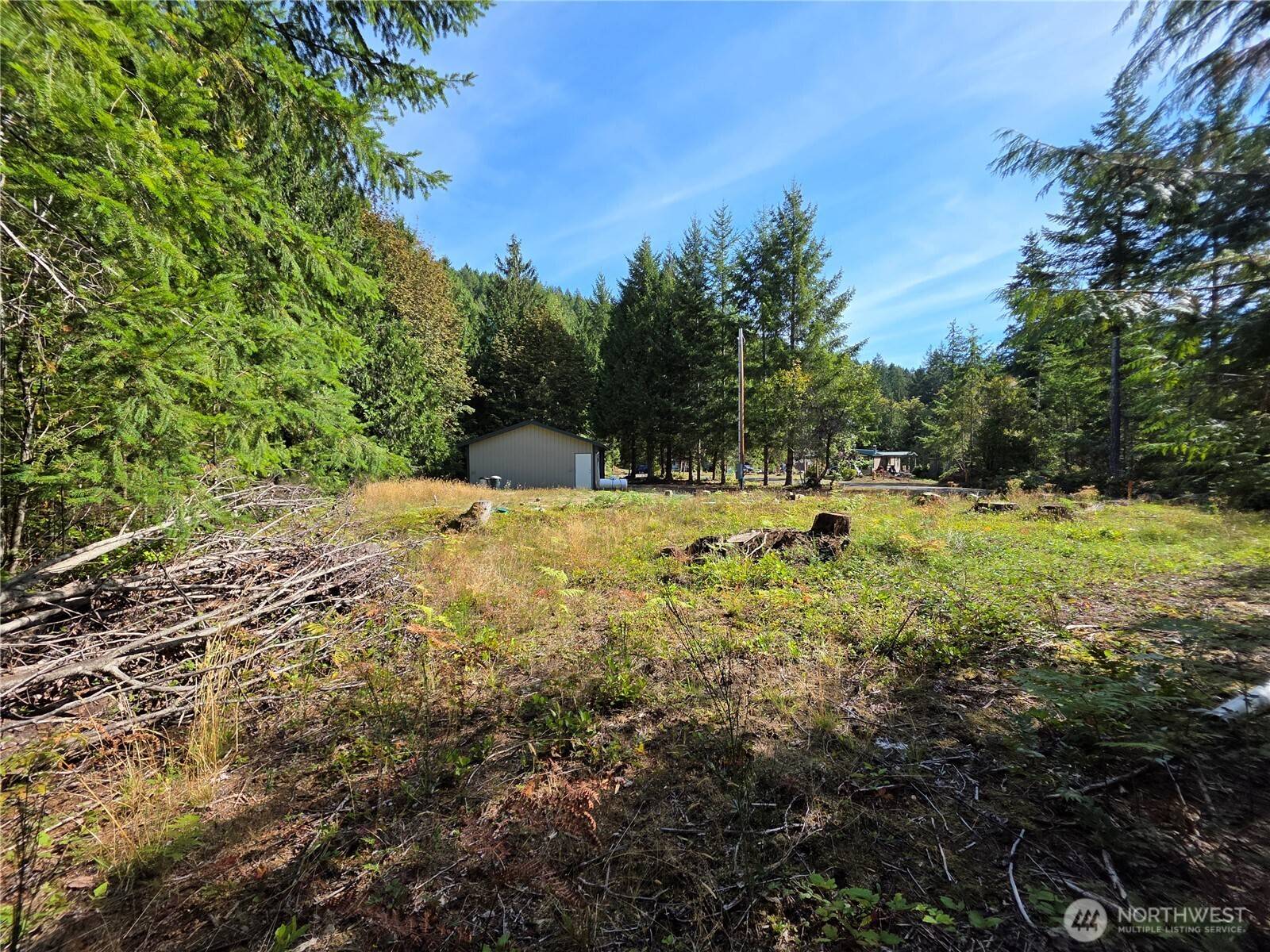 92 Belgian DR, Brinnon, WA 98320