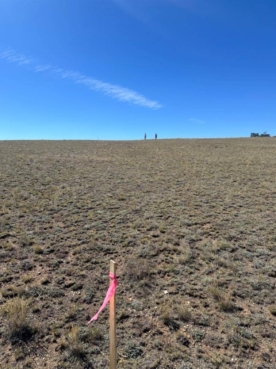 2418 Goldenburg Canyon RD, Hartsel, CO 80449