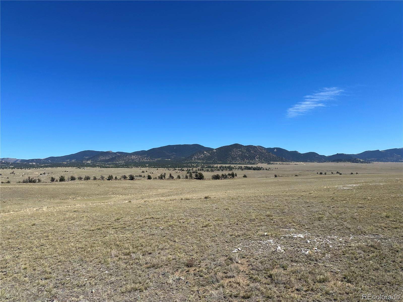 2418 Goldenburg Canyon RD, Hartsel, CO 80449
