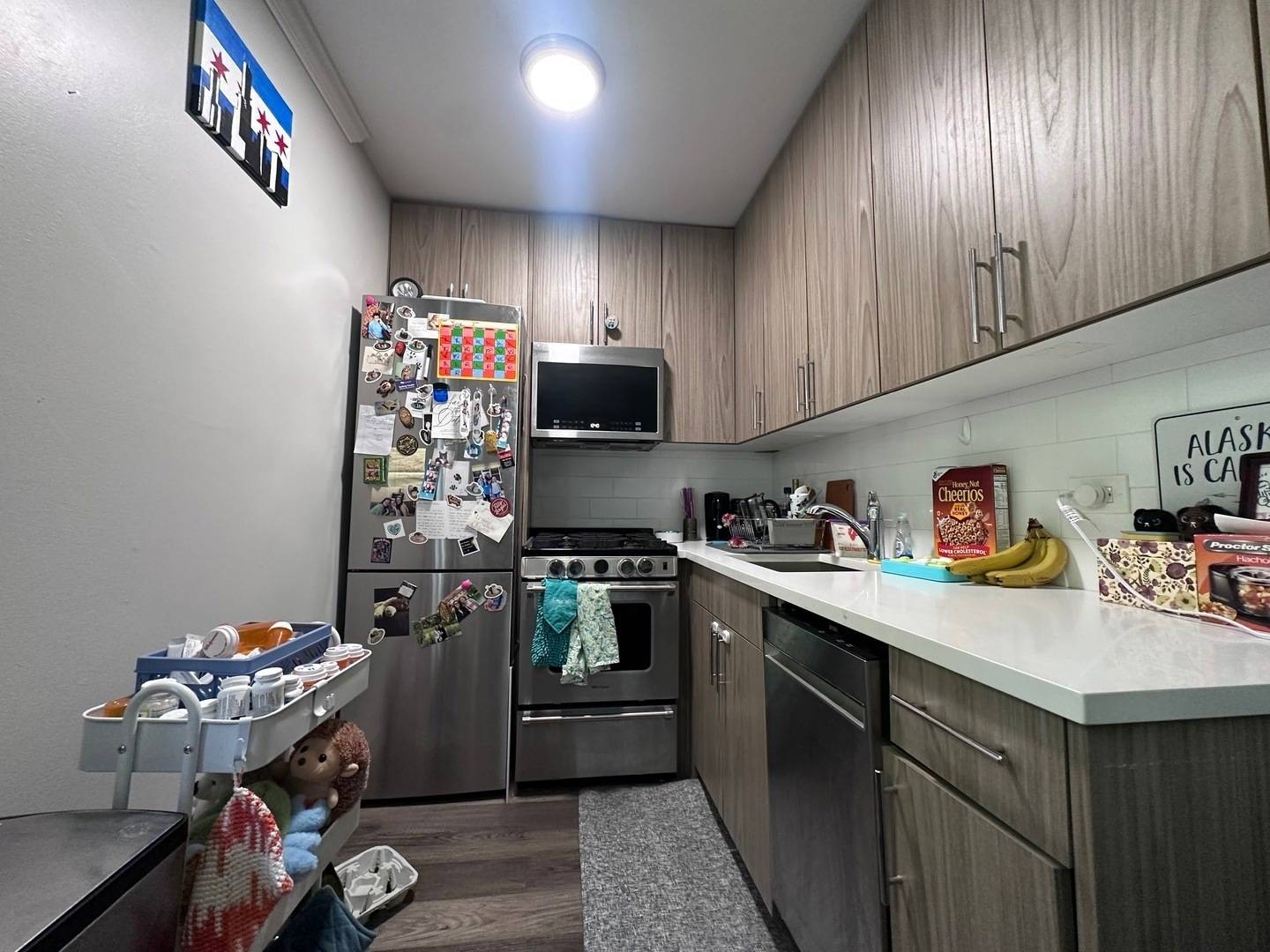 541 W OAKDALE AVE #404, Chicago, IL 60657