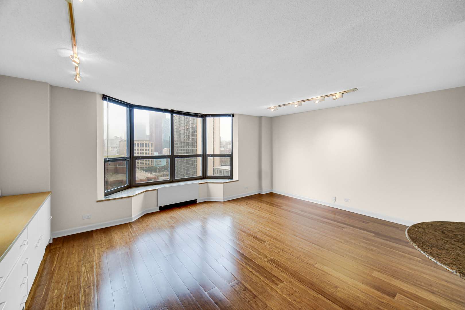 899 S Plymouth CT #1602, Chicago, IL 60605