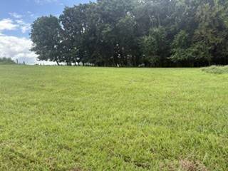 4884 Rock House Rd, Portland, TN 37148