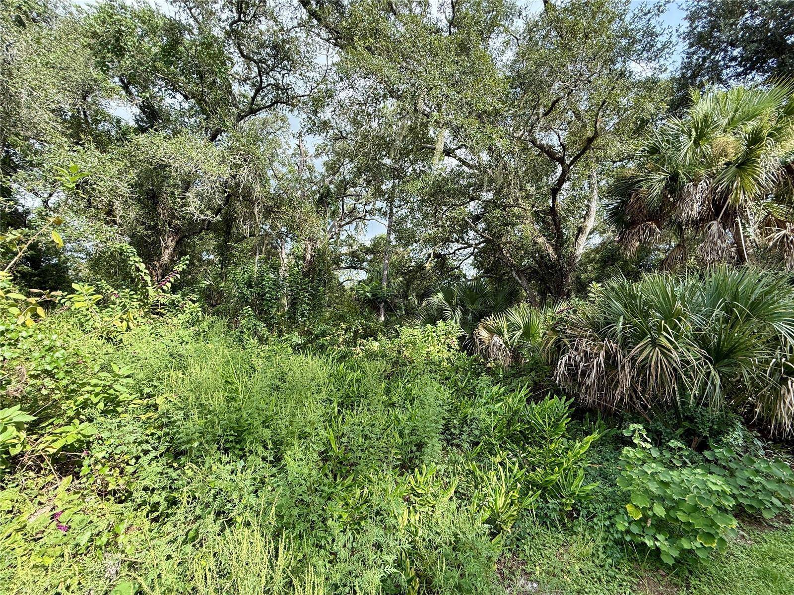 16229 LIMERICK AVE, Port Charlotte, FL 33954