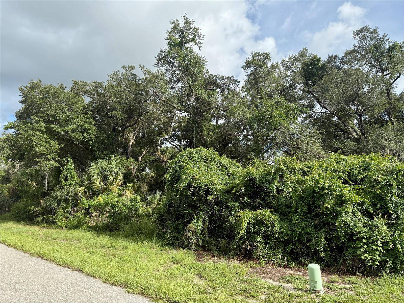 16229 LIMERICK AVE, Port Charlotte, FL 33954
