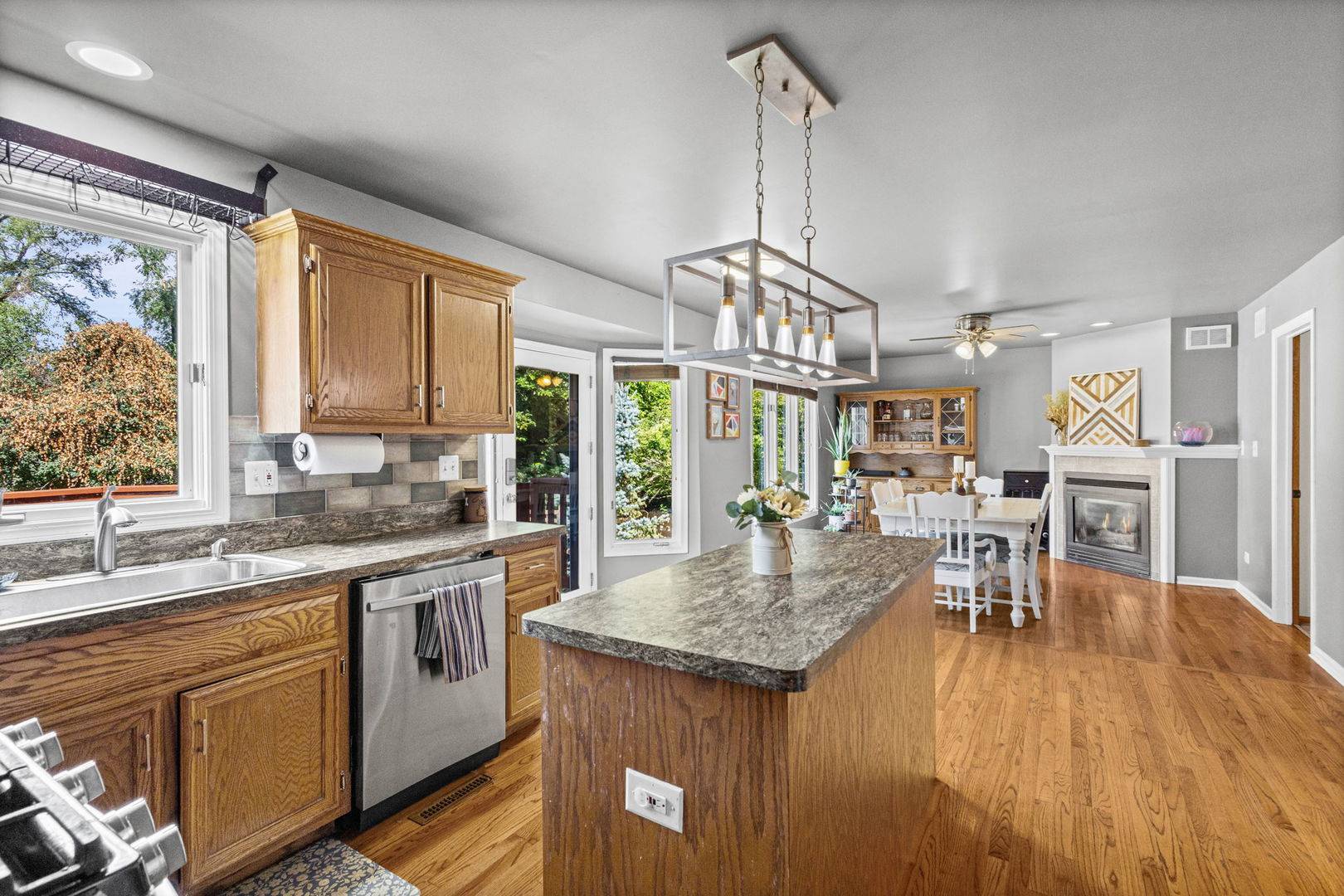 307 Cass ST, Lemont, IL 60439