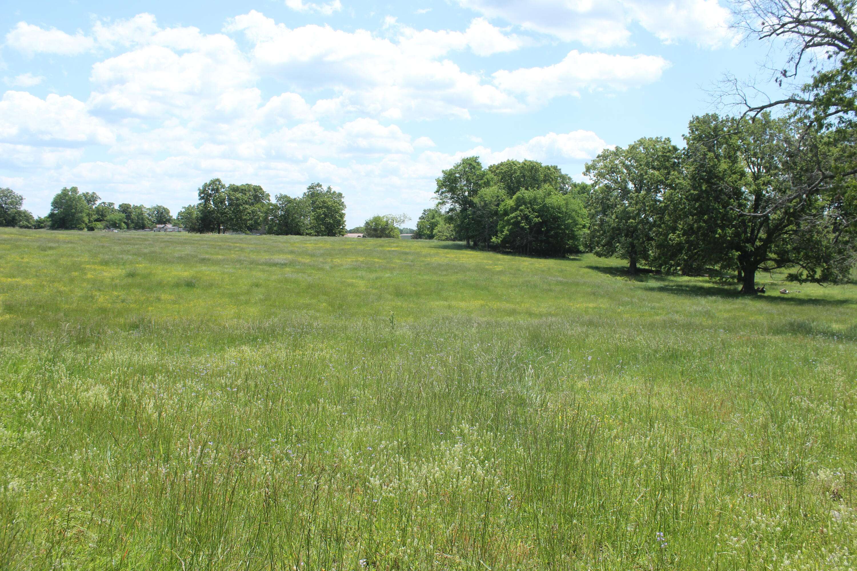 000 W HWY, Thayer, MO 65791