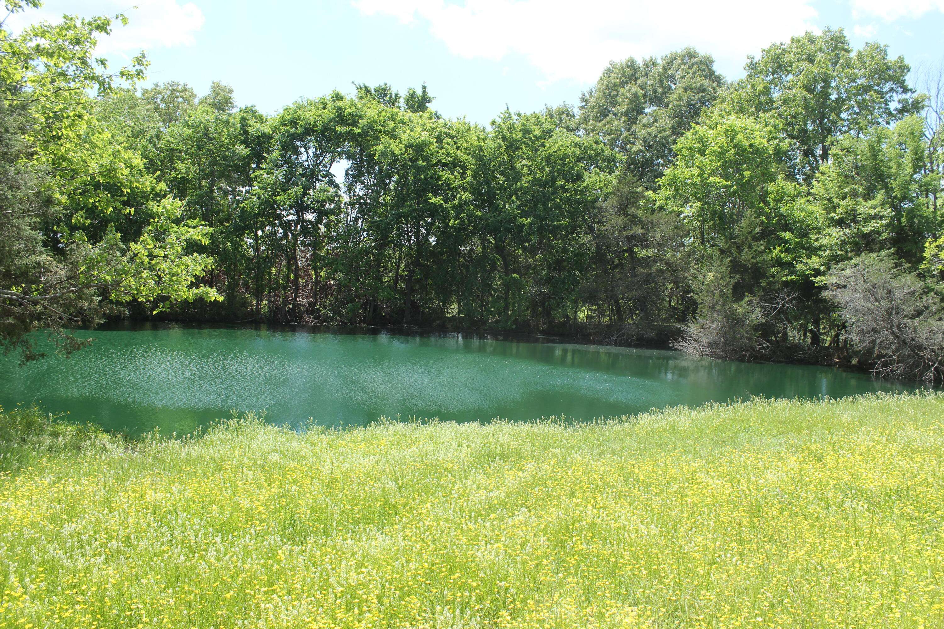 000 W HWY, Thayer, MO 65791