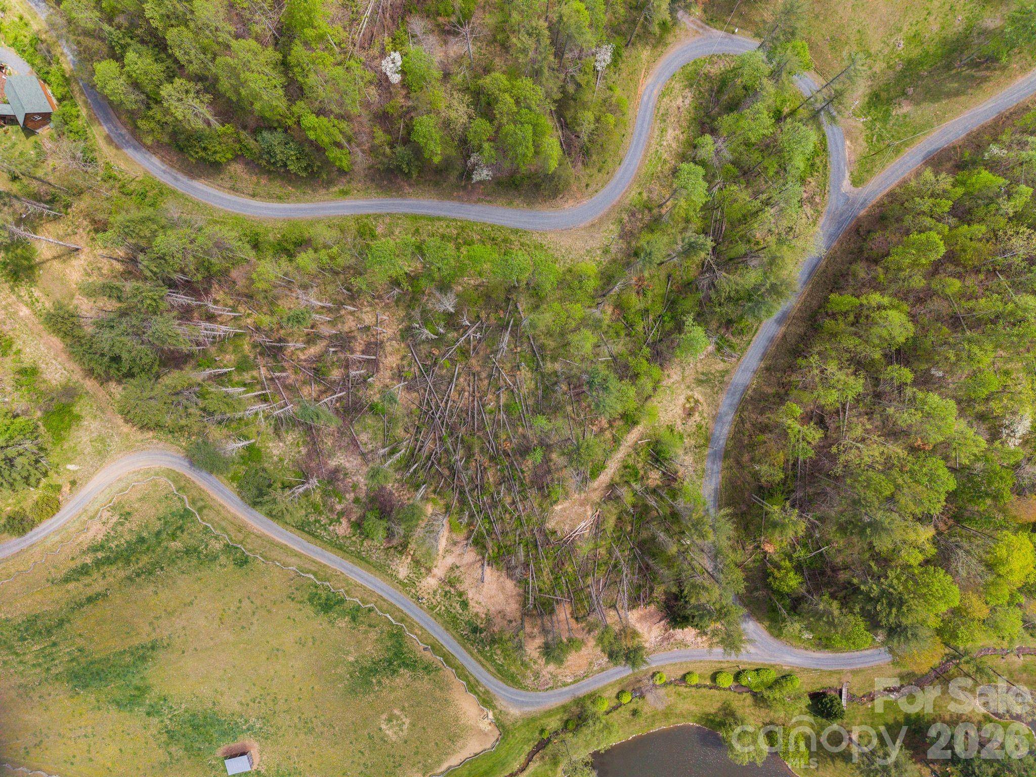 99999 White Pine LN #19 & 18, Bakersville, NC 28705