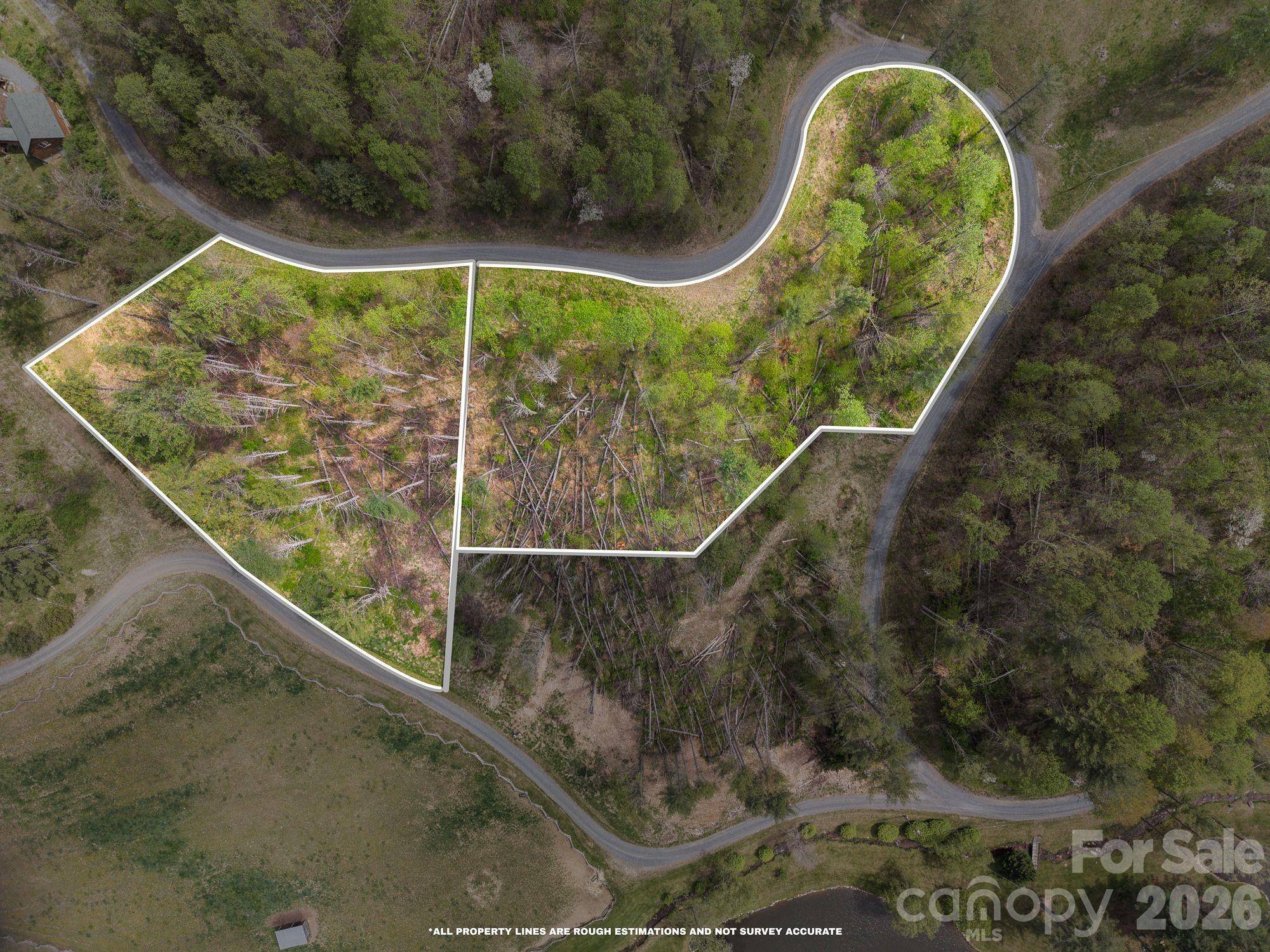 99999 White Pine LN #19 & 18, Bakersville, NC 28705