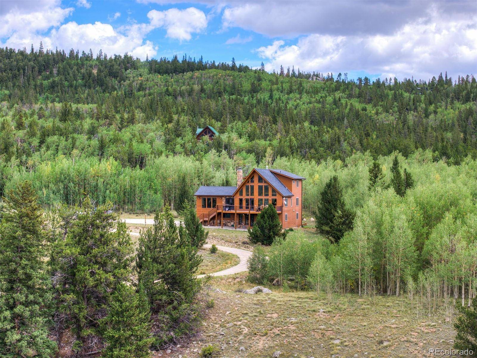 84 Ice Axe CT, Fairplay, CO 80420